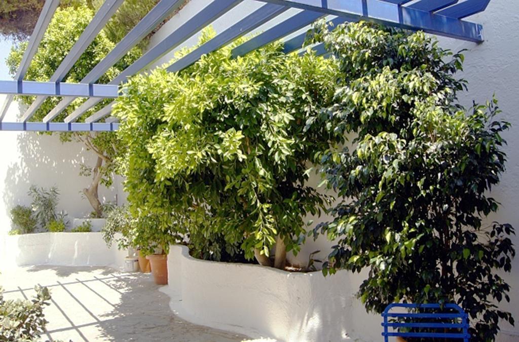 Idroussa Appartement Mpatsi Buitenkant foto