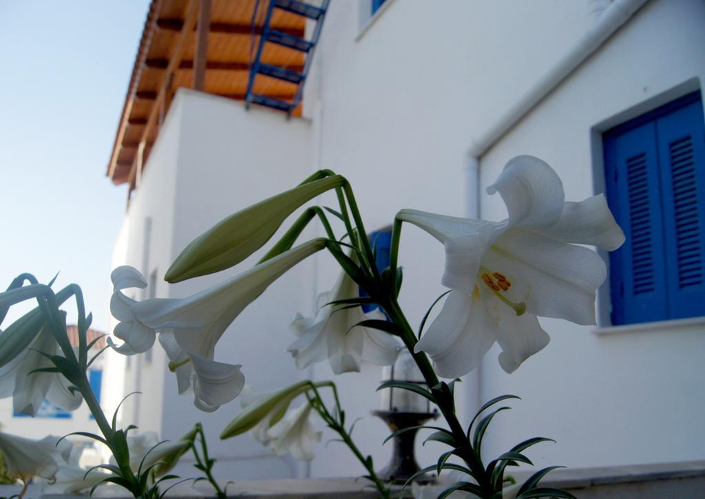 Idroussa Appartement Mpatsi Buitenkant foto